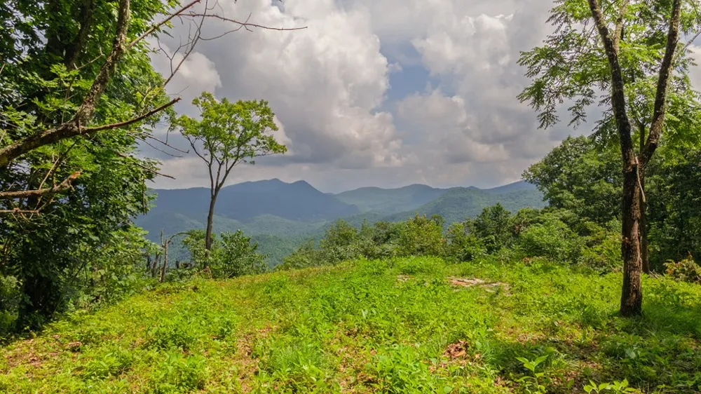 Whisper Mountain Rd Franklin, NC 28734