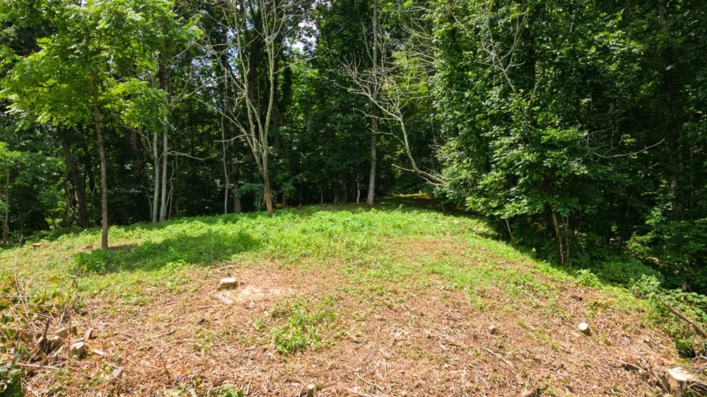 Whisper Mountain Rd Franklin, NC 28734