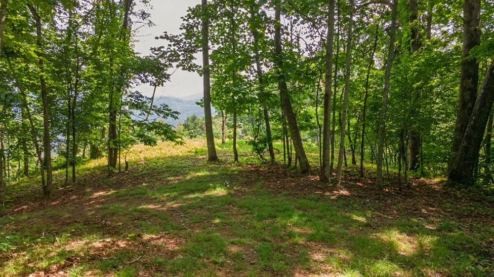 Whisper Mountain Rd Franklin, NC 28734