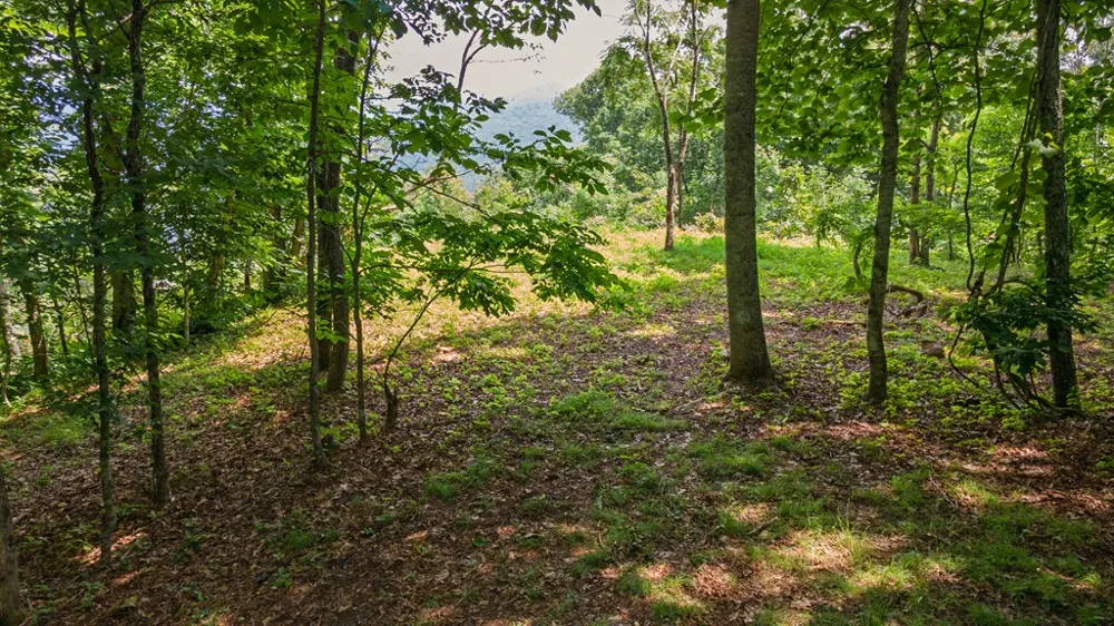 Whisper Mountain Rd Franklin, NC 28734
