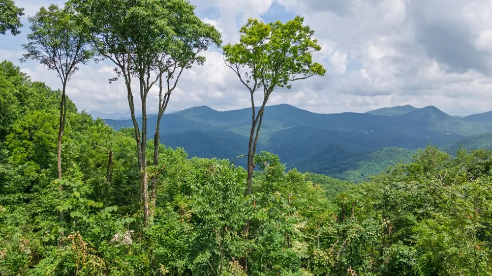 Whisper Mountain Rd Franklin, NC 28734