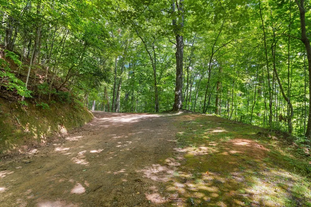 Brandy Ln Franklin, NC 28734