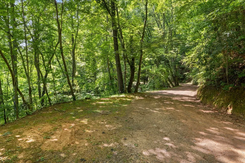 Brandy Ln Franklin, NC 28734