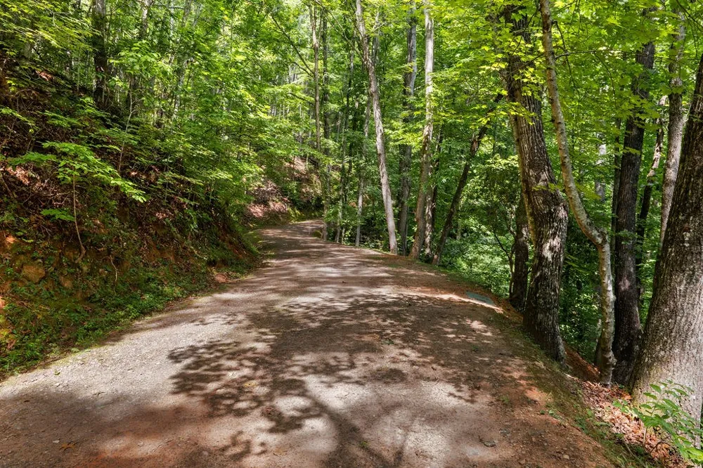 Brandy Ln Franklin, NC 28734