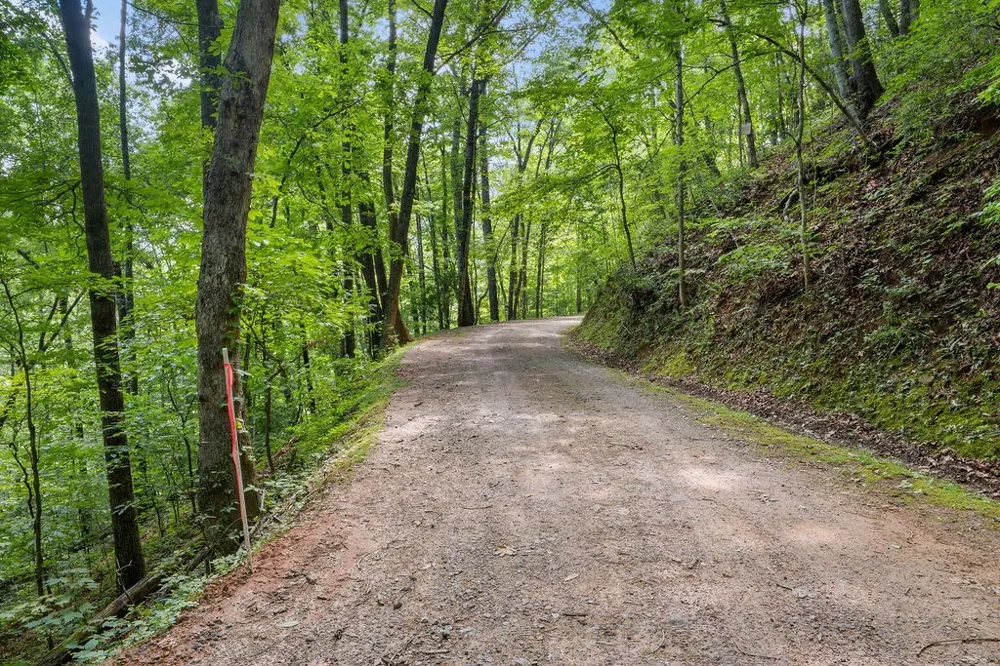 Brandy Ln Franklin, NC 28734