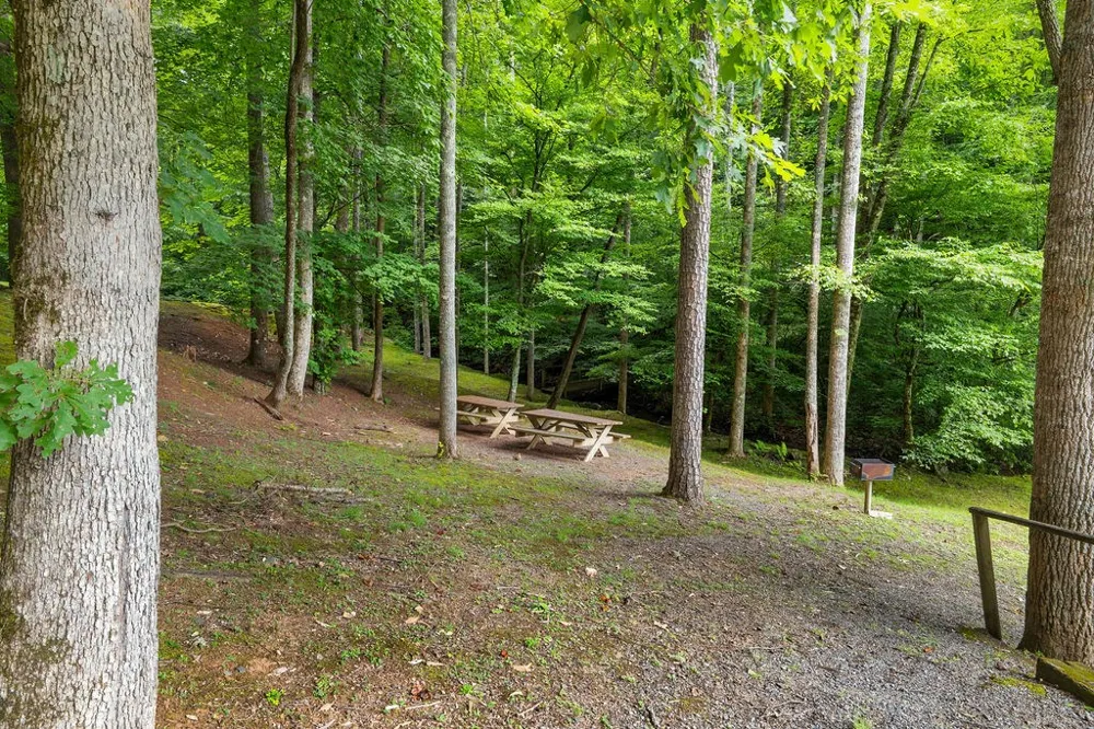Brandy Ln Franklin, NC 28734