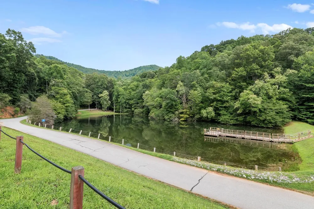 Brandy Ln Franklin, NC 28734