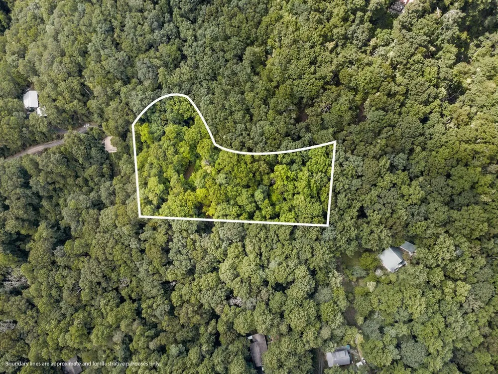 Brandy Ln Franklin, NC 28734