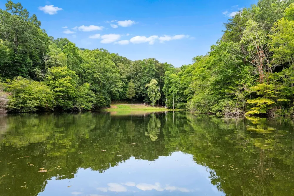 Brandy Ln Franklin, NC 28734