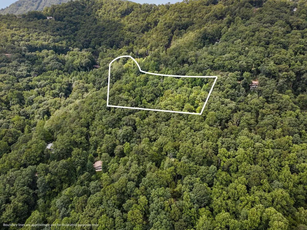 Brandy Ln Franklin, NC 28734