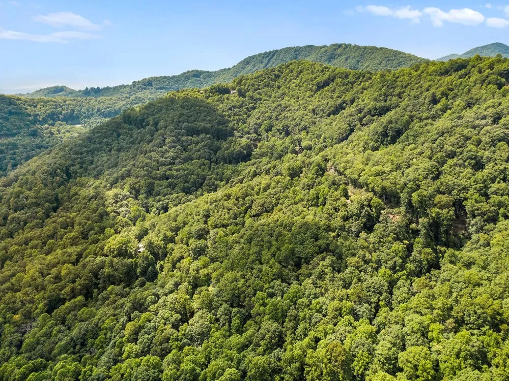 Brandy Ln Franklin, NC 28734