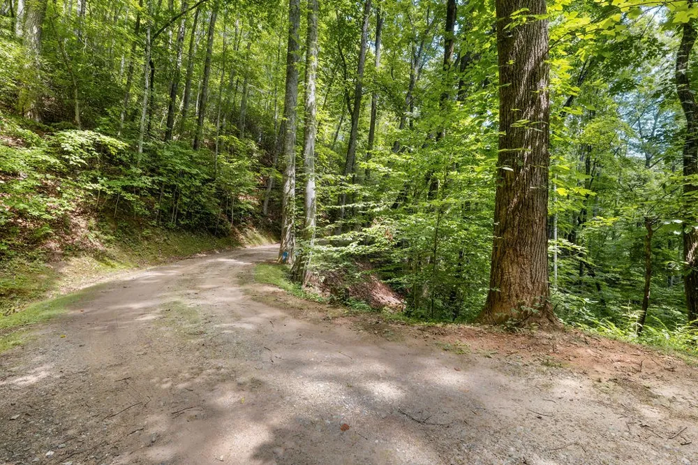Brandy Ln Franklin, NC 28734