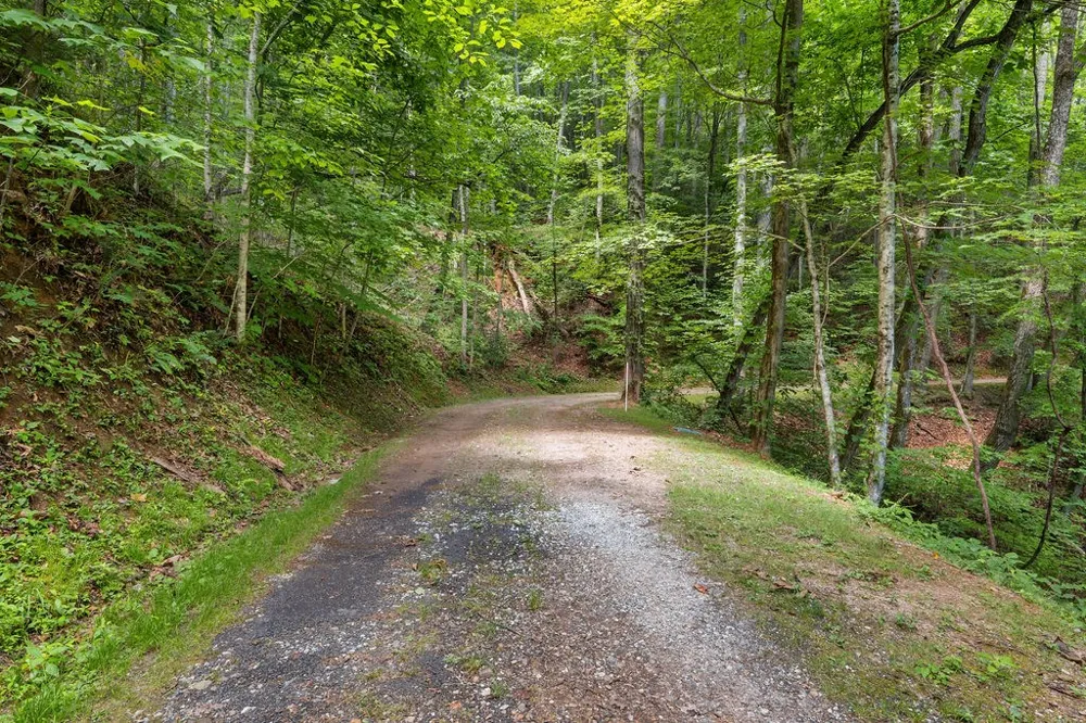 Brandy Ln Franklin, NC 28734