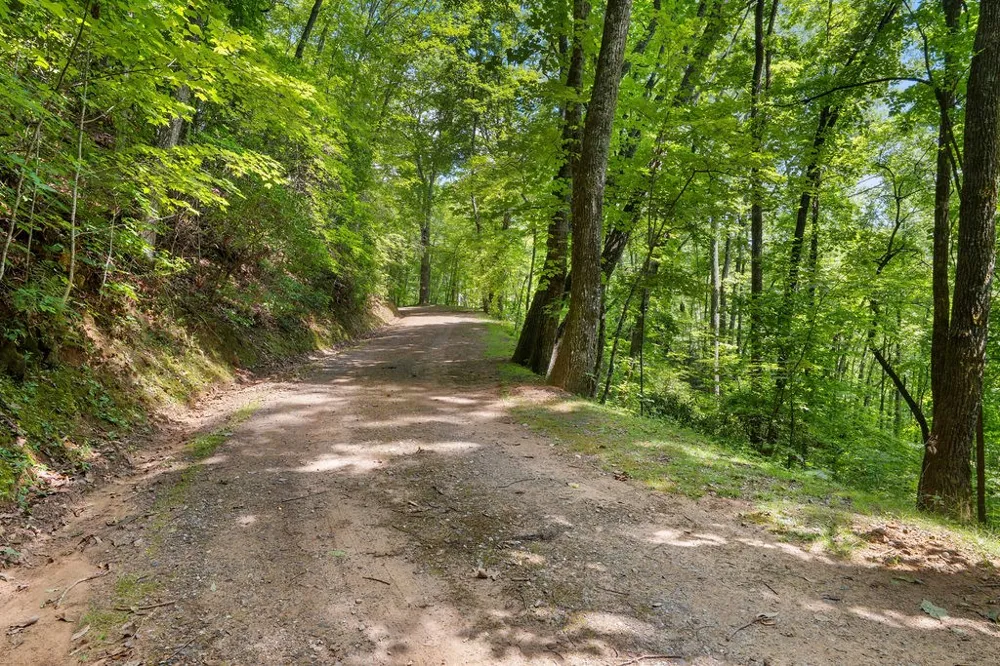 Brandy Ln Franklin, NC 28734