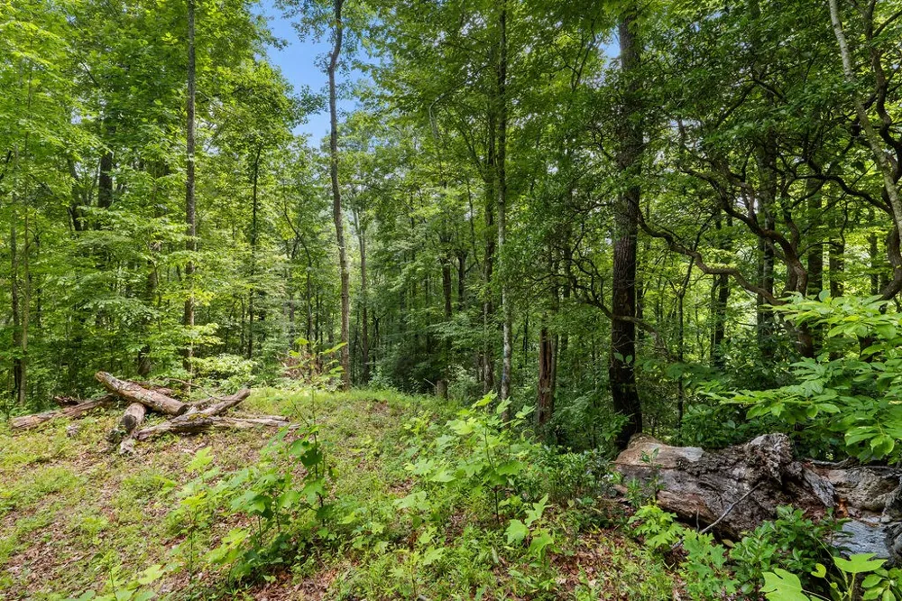 Brandy Ln Franklin, NC 28734