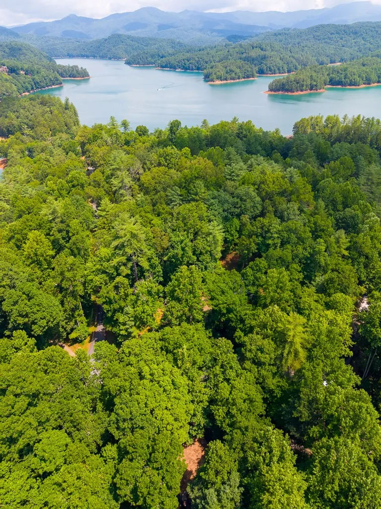 Village Rd Murphy, NC 28906