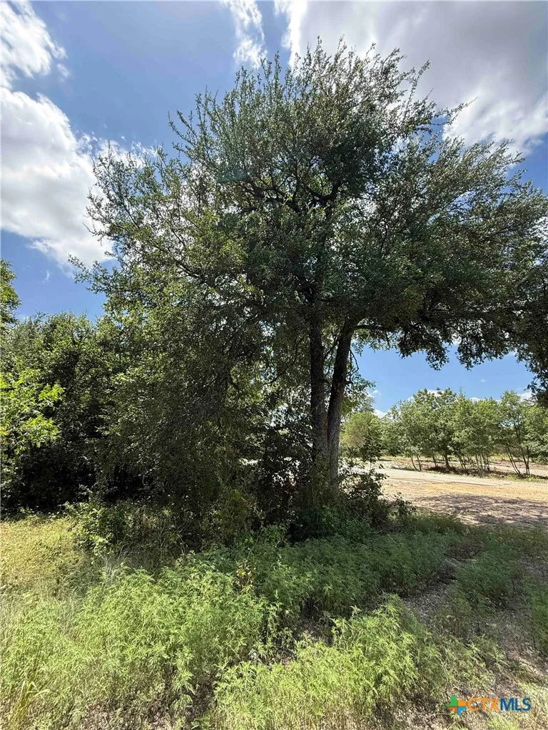 1256 Kenton Parkway Salado, TX 76571