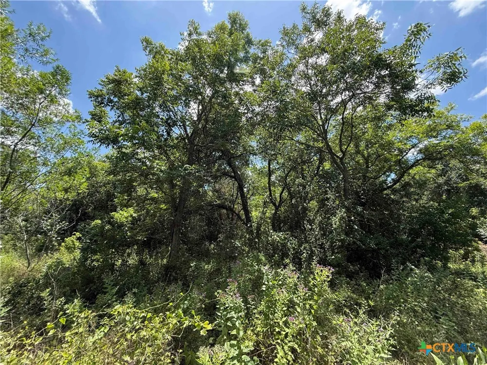 1256 Kenton Parkway Salado, TX 76571