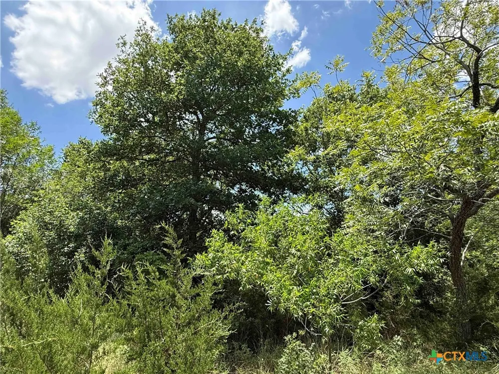 1256 Kenton Parkway Salado, TX 76571