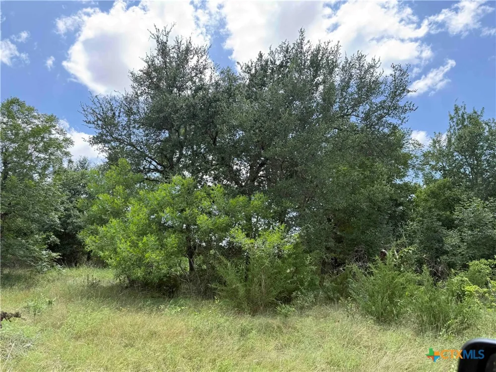 1256 Kenton Parkway Salado, TX 76571