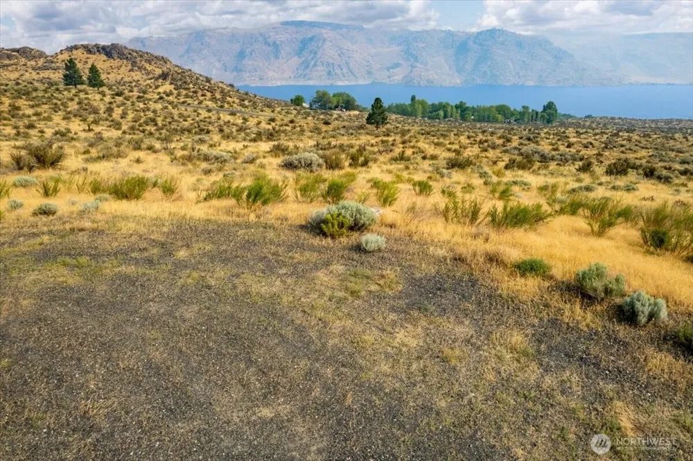 45660 Fowler Drive Grand Coulee, WA 99133