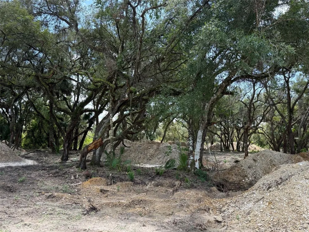 20212 NW 288TH STREET Okeechobee, FL 34972