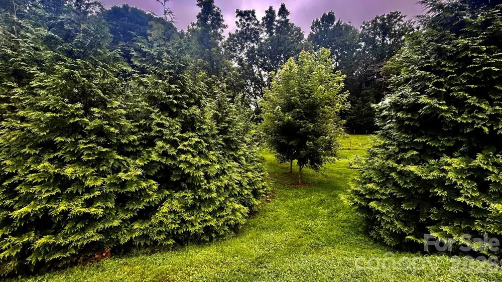 5 Northlake Drive Weaverville, NC 28787