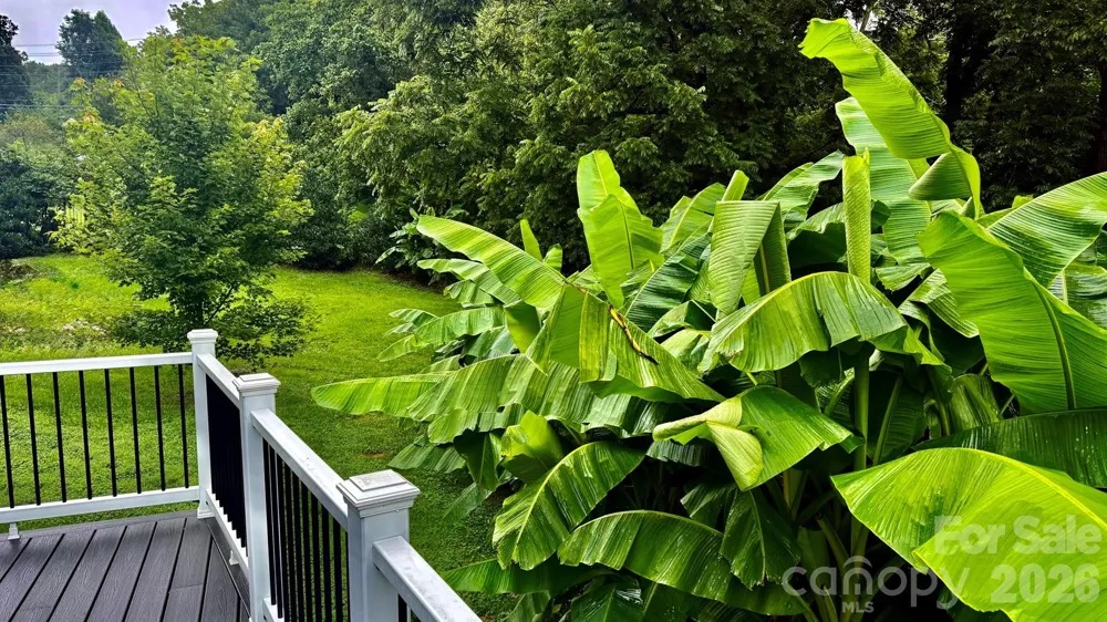 5 Northlake Drive Weaverville, NC 28787