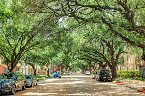 444 Post Oak Lane