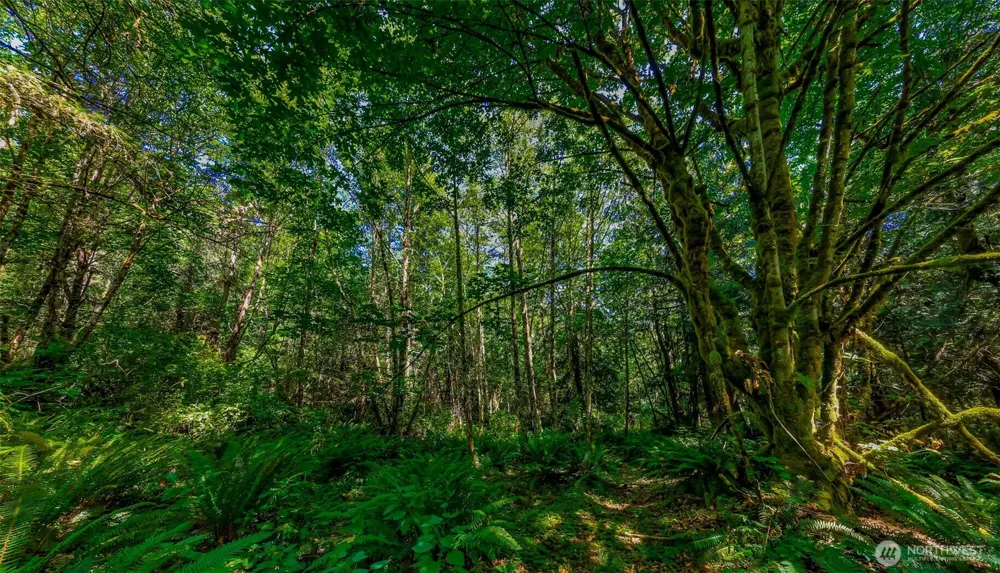8679 NE Fox Den Lane Bainbridge Island, WA 98110
