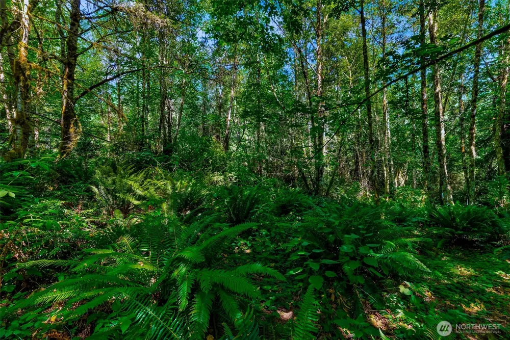 8679 NE Fox Den Lane Bainbridge Island, WA 98110