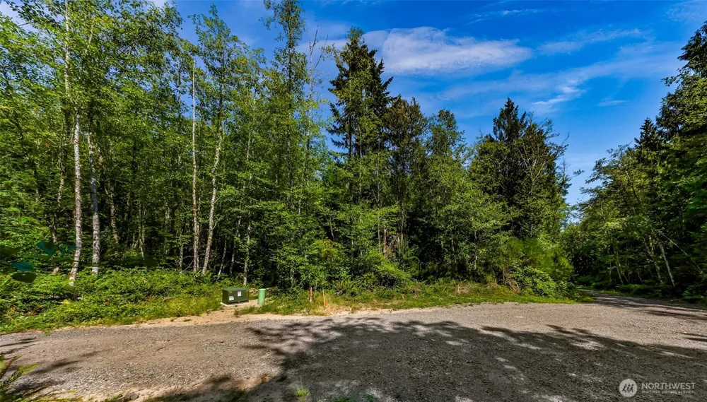 8679 NE Fox Den Lane Bainbridge Island, WA 98110