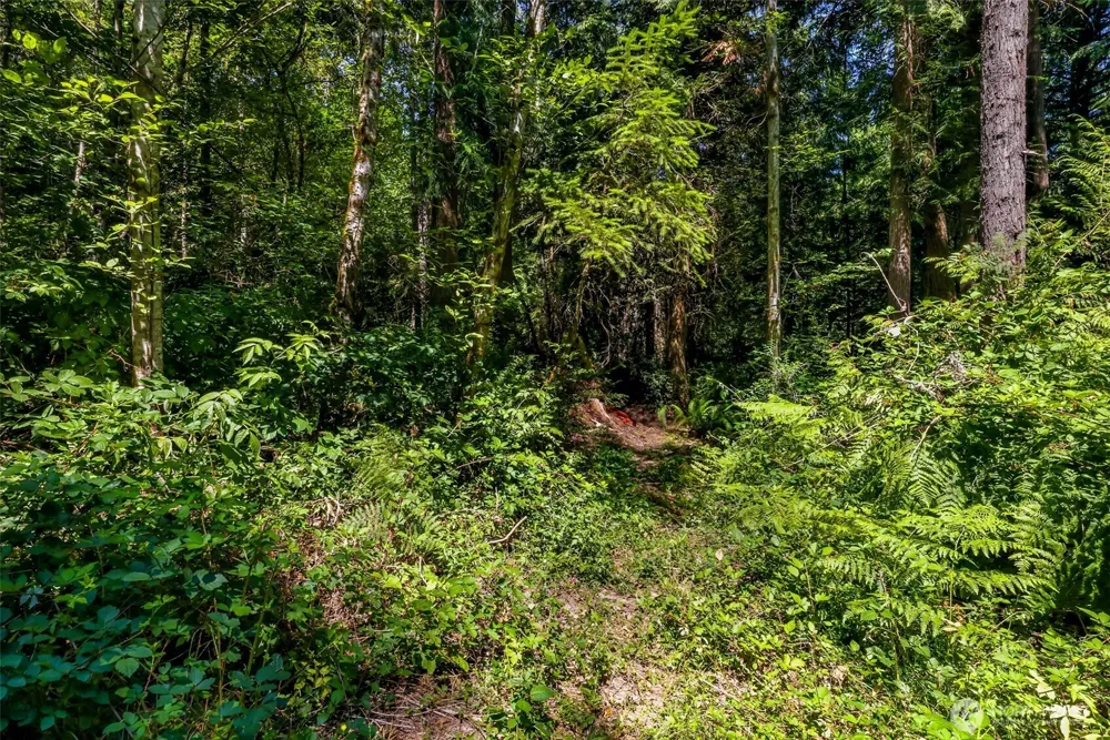 8679 NE Fox Den Lane Bainbridge Island, WA 98110