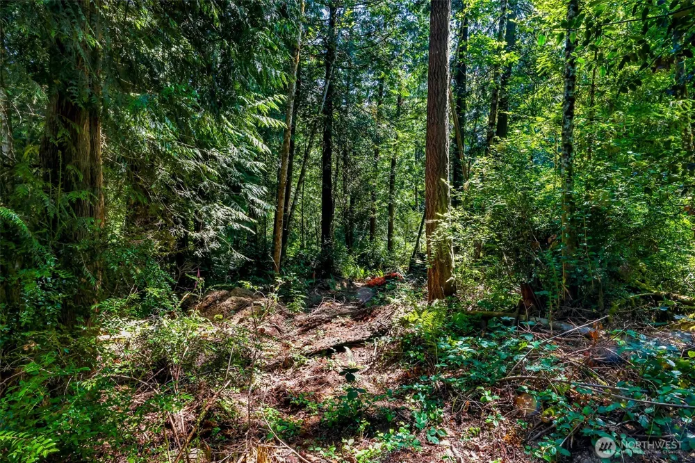 8679 NE Fox Den Lane Bainbridge Island, WA 98110