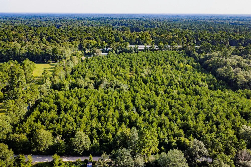 1378 Duck Creek Road Cleveland, TX 77328