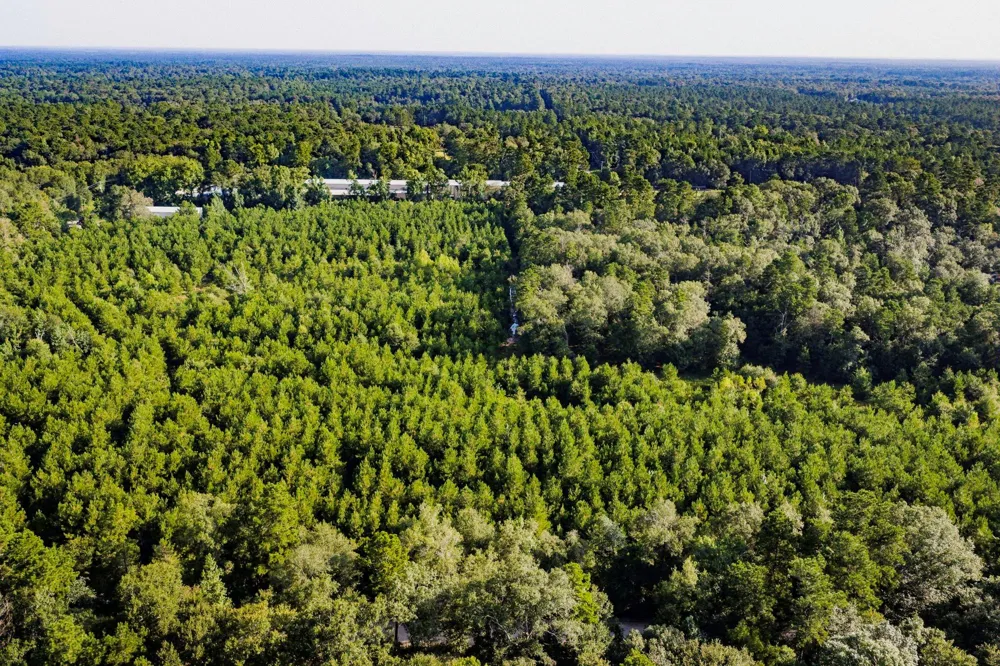 1378 Duck Creek Road Cleveland, TX 77328