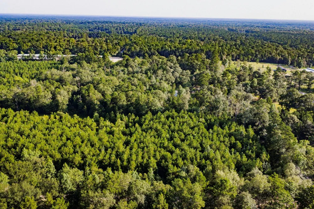 1378 Duck Creek Road Cleveland, TX 77328