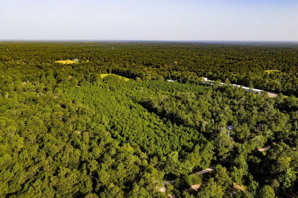 1378 Duck Creek Road Cleveland, TX 77328