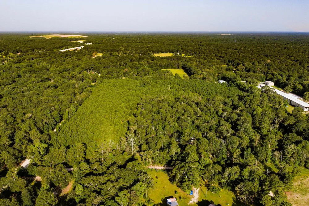 1378 Duck Creek Road Cleveland, TX 77328
