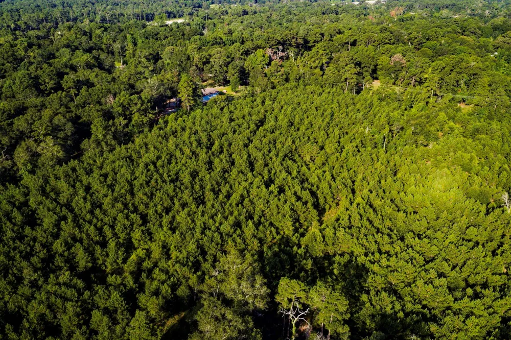1378 Duck Creek Road Cleveland, TX 77328