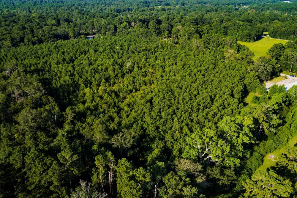 1378 Duck Creek Road Cleveland, TX 77328