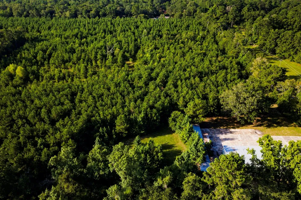 1378 Duck Creek Road Cleveland, TX 77328