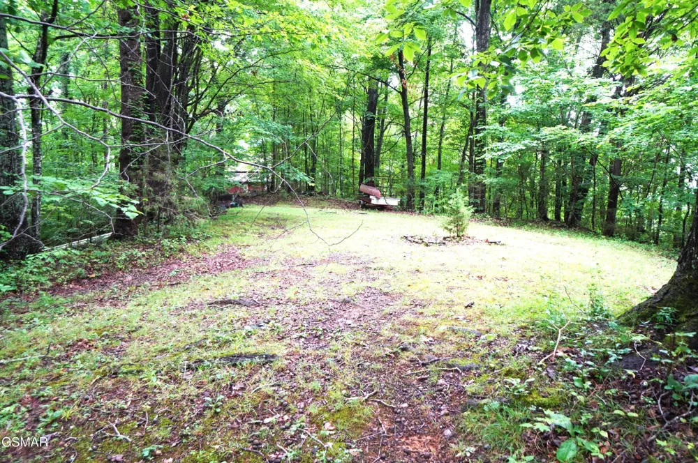 2101 W Governor John Sevier Highway Knoxville, TN 37920