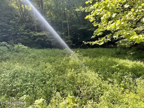 0 Jackson Ridge Rd