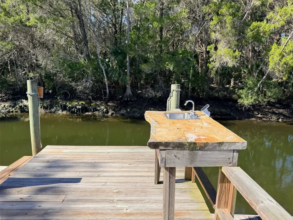 12 PALM DRIVE Yankeetown, FL 34498