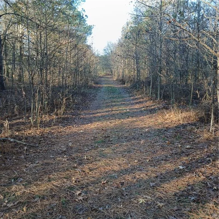 241 Nacoochee Drive Woodstock, GA 30188