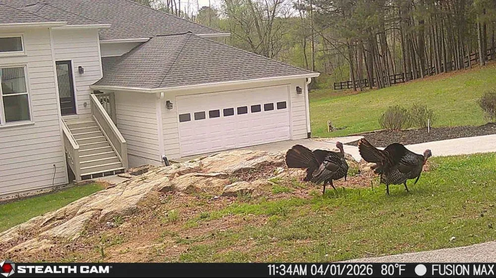 241 Nacoochee Drive Woodstock, GA 30188
