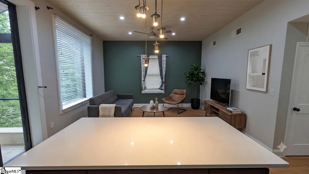 233 Main Street #Unit 305 Greenville, SC 29601