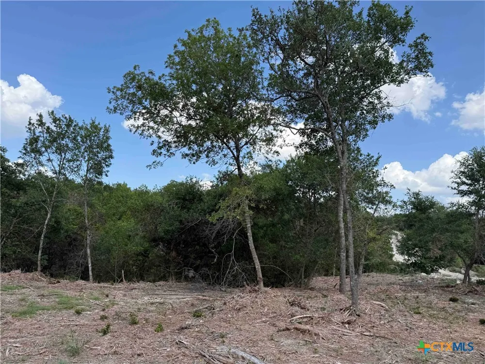 1298 Kenton Parkway Salado, TX 76571