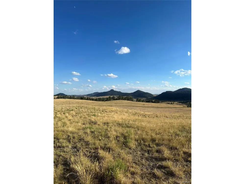 290 Castle Mountain Drive Florissant, CO 80816